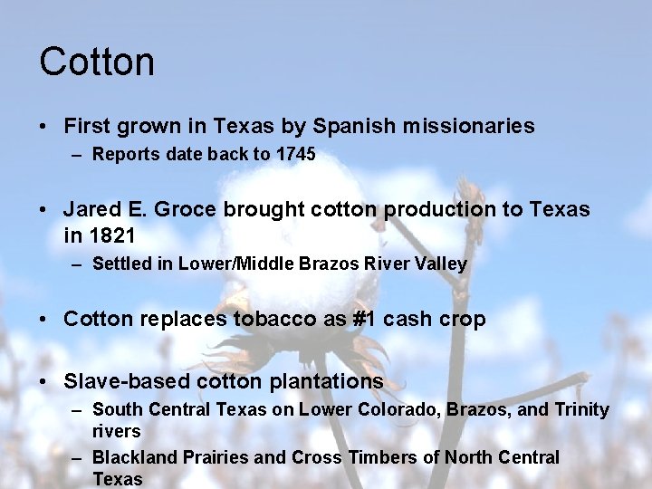 Cotton • First grown in Texas by Spanish missionaries – Reports date back to