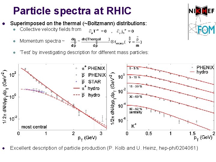 Particle spectra at RHIC l l Superimposed on thermal (~Boltzmann) distributions: l Collective velocity
