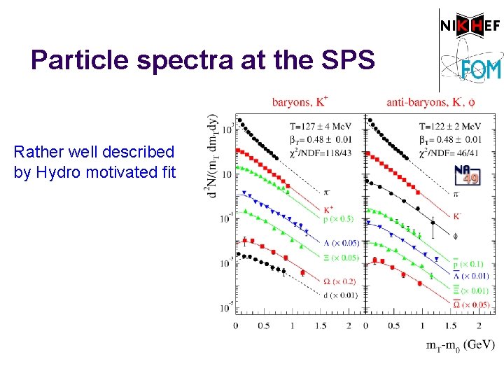 Particle spectra at the SPS Rather well described by Hydro motivated fit 