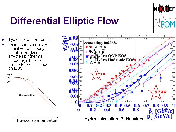 Differential Elliptic Flow l l Typical pt dependence Heavy particles more sensitive to velocity