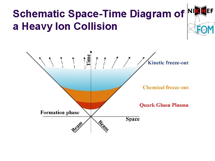 Schematic Space-Time Diagram of a Heavy Ion Collision 