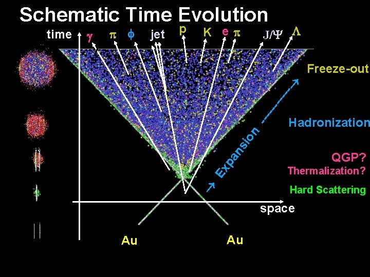 Schematic Time Evolution p J/Y L K e e Hadronization si on ------ Freeze-out
