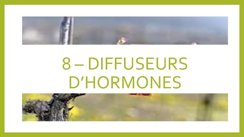 8 – DIFFUSEURS D’HORMONES 