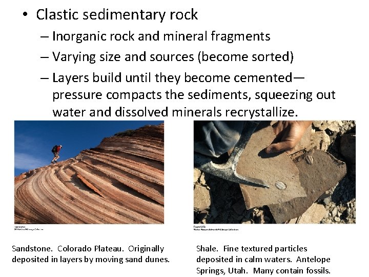 • Clastic sedimentary rock – Inorganic rock and mineral fragments – Varying size • Clastic sedimentary rock – Inorganic rock and mineral fragments – Varying size