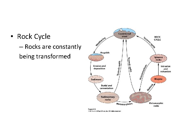 • Rock Cycle – Rocks are constantly being transformed • Rock Cycle – Rocks are constantly being transformed