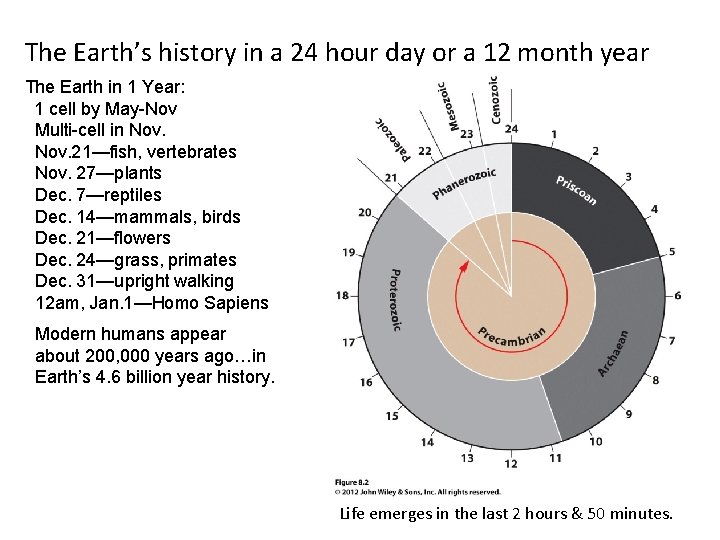 The Earth’s history in a 24 hour day or a 12 month year The The Earth’s history in a 24 hour day or a 12 month year The
