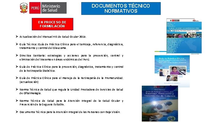 DOCUMENTOS TÉCNICO NORMATIVOS EN PROCESO DE APROBADOS FORMULACIÓN Ø Ø Actualización del Manual HIS