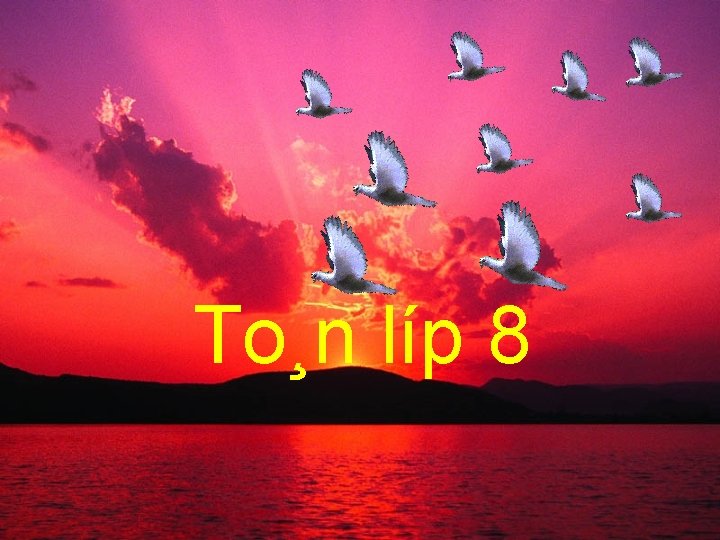 To¸n líp 8 