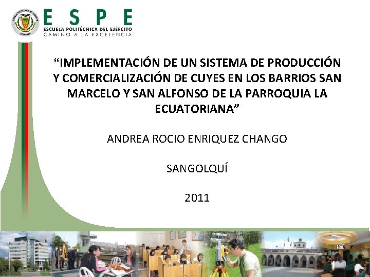 “IMPLEMENTACIÓN DE UN SISTEMA DE PRODUCCIÓN Y COMERCIALIZACIÓN DE CUYES EN LOS BARRIOS SAN “IMPLEMENTACIÓN DE UN SISTEMA DE PRODUCCIÓN Y COMERCIALIZACIÓN DE CUYES EN LOS BARRIOS SAN