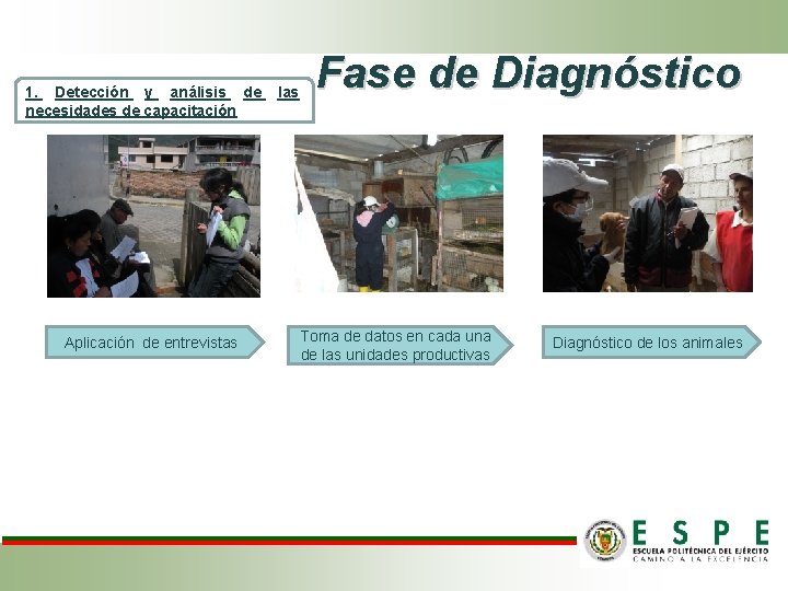 1. Detección y análisis de necesidades de capacitación Aplicación de entrevistas las Fase de 1. Detección y análisis de necesidades de capacitación Aplicación de entrevistas las Fase de