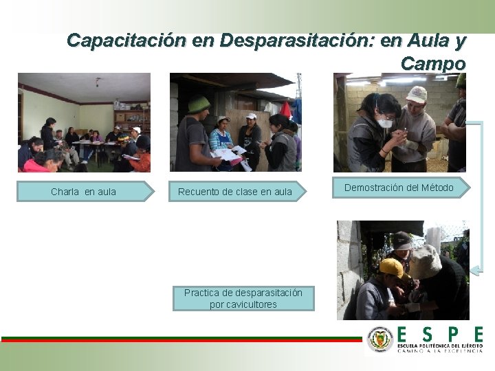 Capacitación en Desparasitación: en Aula y Campo Charla en aula Recuento de clase en Capacitación en Desparasitación: en Aula y Campo Charla en aula Recuento de clase en
