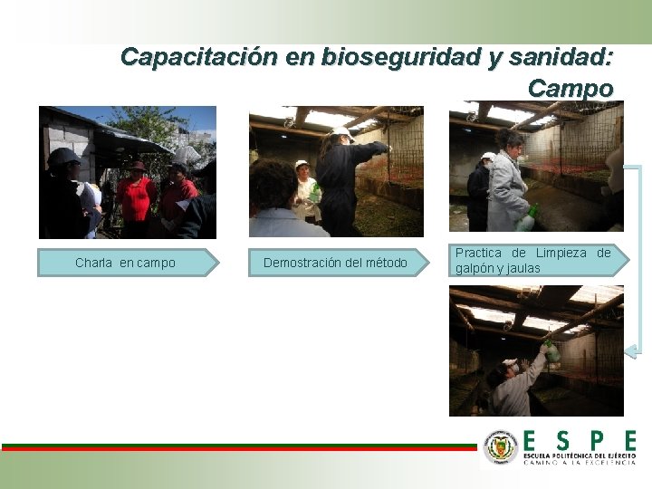 Capacitación en bioseguridad y sanidad: Campo Charla en campo Demostración del método Practica de Capacitación en bioseguridad y sanidad: Campo Charla en campo Demostración del método Practica de