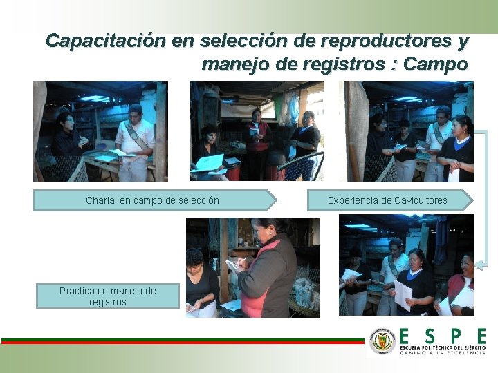 Capacitación en selección de reproductores y manejo de registros : Campo Charla en campo Capacitación en selección de reproductores y manejo de registros : Campo Charla en campo