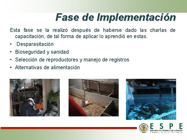 Fase de Implementación Esta fase se la realizó después de haberse dado las charlas Fase de Implementación Esta fase se la realizó después de haberse dado las charlas