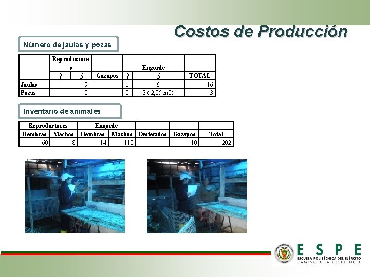 Costos de Producción Número de jaulas y pozas Jaulas Pozas Reproductore s ♀ ♂ Costos de Producción Número de jaulas y pozas Jaulas Pozas Reproductore s ♀ ♂