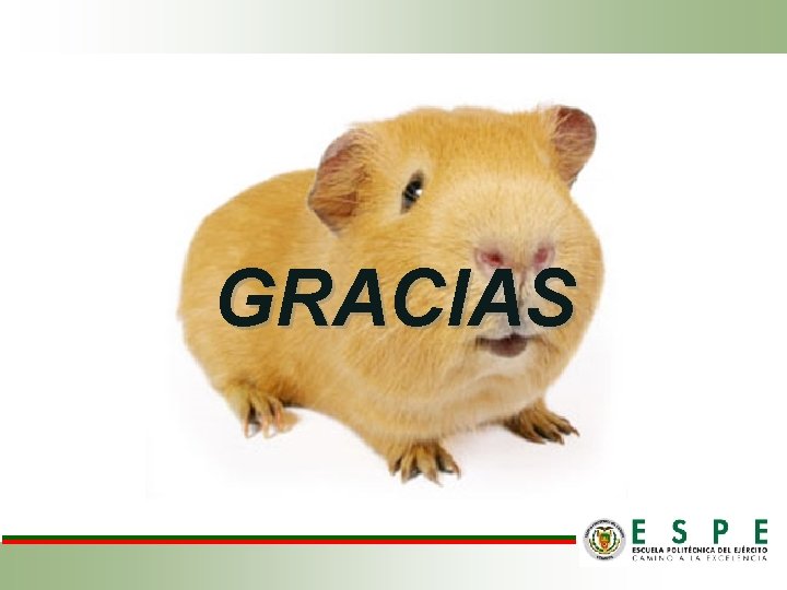 GRACIAS GRACIAS