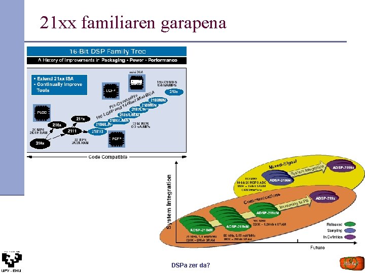 21 xx familiaren garapena DSPa zer da? 