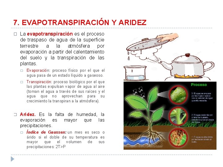 7. EVAPOTRANSPIRACIÓN Y ARIDEZ � � La evapotranspiración es el proceso de traspaso de