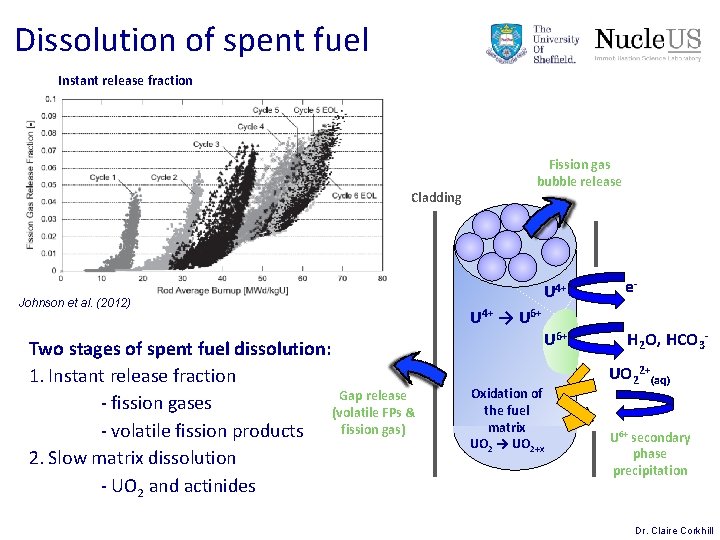 Dissolution of spent fuel Instant release fraction Cladding Johnson et al. (2012) Two stages Dissolution of spent fuel Instant release fraction Cladding Johnson et al. (2012) Two stages