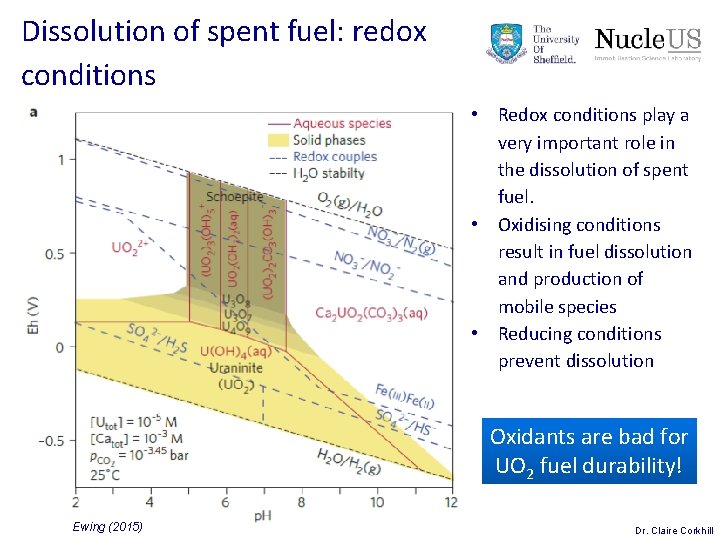 Dissolution of spent fuel: redox conditions • Redox conditions play a very important role Dissolution of spent fuel: redox conditions • Redox conditions play a very important role