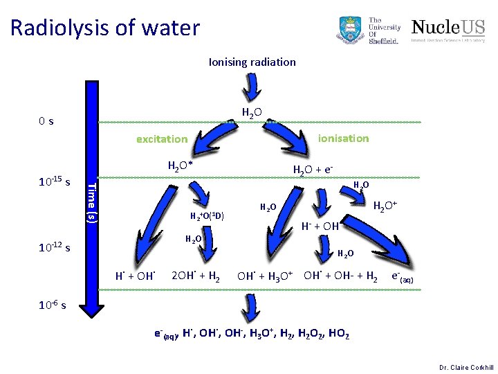 Radiolysis of water Ionising radiation H 2 O 0 s ionisation excitation H 2 Radiolysis of water Ionising radiation H 2 O 0 s ionisation excitation H 2