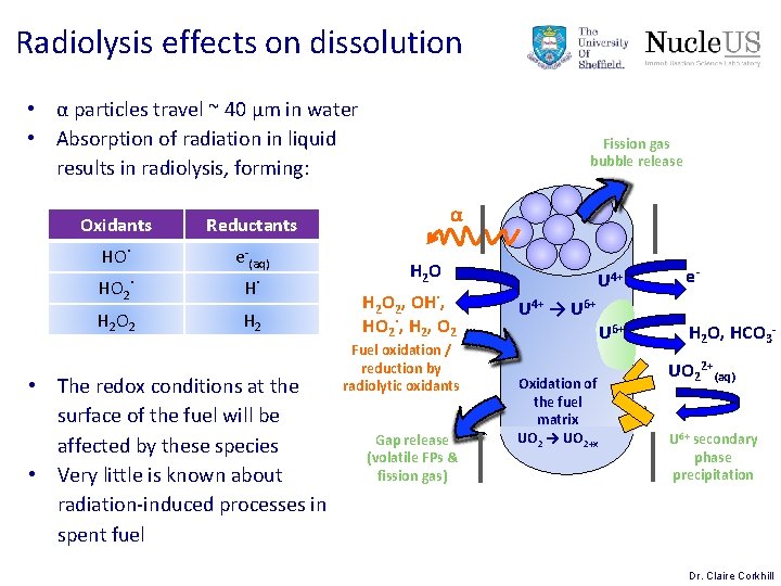 Radiolysis effects on dissolution • α particles travel ~ 40 μm in water • Radiolysis effects on dissolution • α particles travel ~ 40 μm in water •