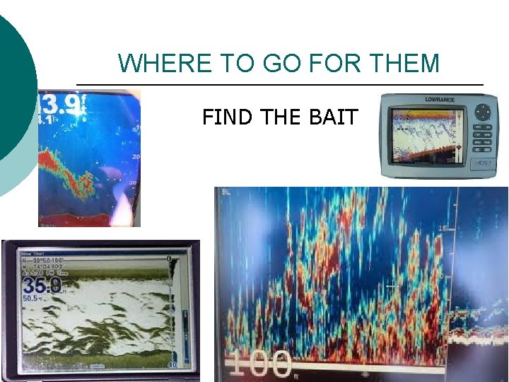 WHERE TO GO FOR THEM FIND THE BAIT 