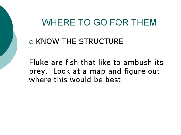 WHERE TO GO FOR THEM ¡ KNOW THE STRUCTURE Fluke are fish that like