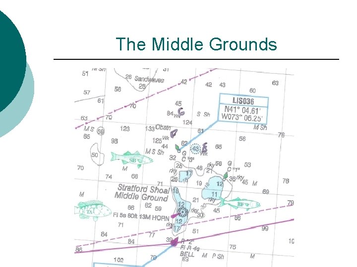 The Middle Grounds 