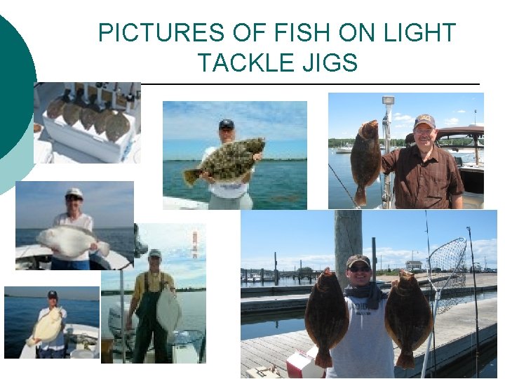 PICTURES OF FISH ON LIGHT TACKLE JIGS 