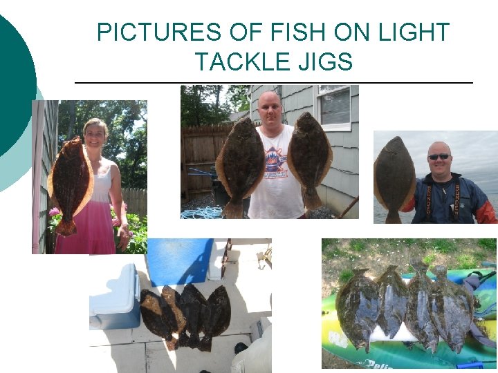 PICTURES OF FISH ON LIGHT TACKLE JIGS 