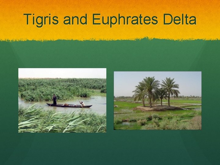 Tigris and Euphrates Delta 