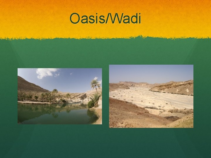 Oasis/Wadi 