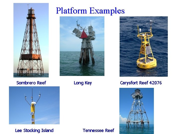 Platform Examples Sombrero Reef Lee Stocking Island Long Key Tennessee Reef Carysfort Reef 42076