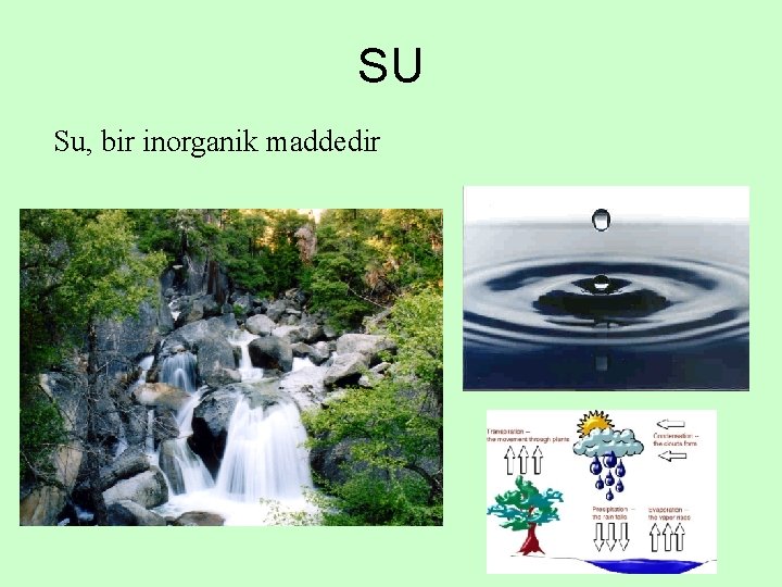 SU Su, bir inorganik maddedir 