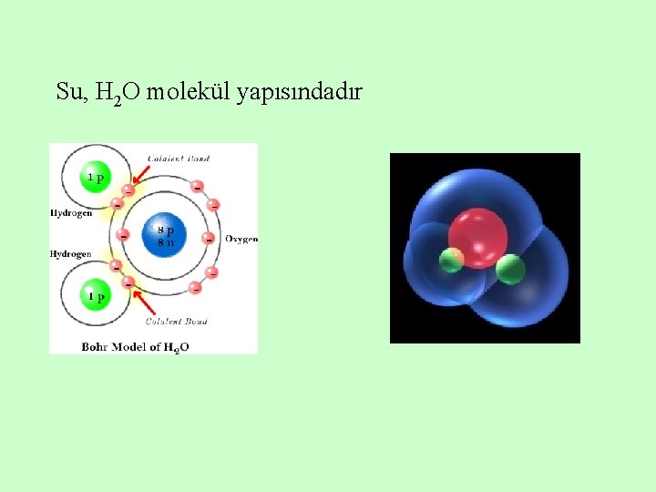 Su, H 2 O molekül yapısındadır 