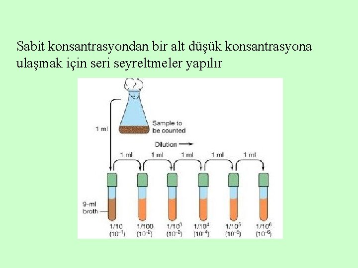 Sabit konsantrasyondan bir alt düşük konsantrasyona ulaşmak için seri seyreltmeler yapılır 