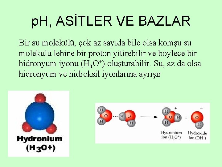 p. H, ASİTLER VE BAZLAR Bir su molekülü, çok az sayıda bile olsa komşu