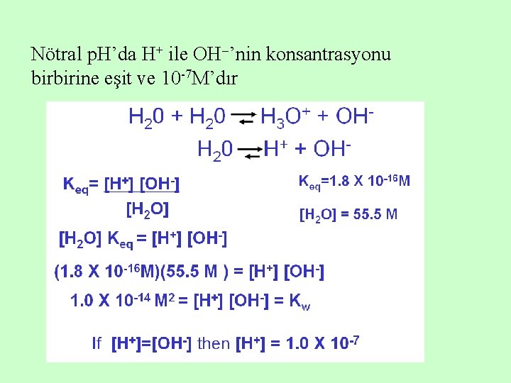 Nötral p. H’da H+ ile OH ’nin konsantrasyonu birbirine eşit ve 10 -7 M’dır