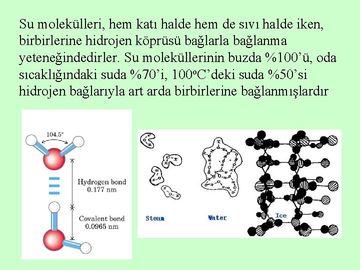 Su molekülleri, hem katı halde hem de sıvı halde iken, birbirlerine hidrojen köprüsü bağlarla
