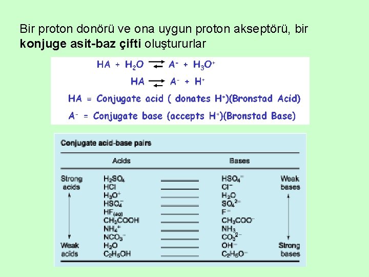 Bir proton donörü ve ona uygun proton akseptörü, bir konjuge asit-baz çifti oluştururlar 