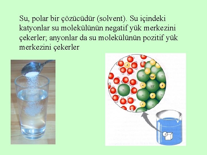 Su, polar bir çözücüdür (solvent). Su içindeki katyonlar su molekülünün negatif yük merkezini çekerler;