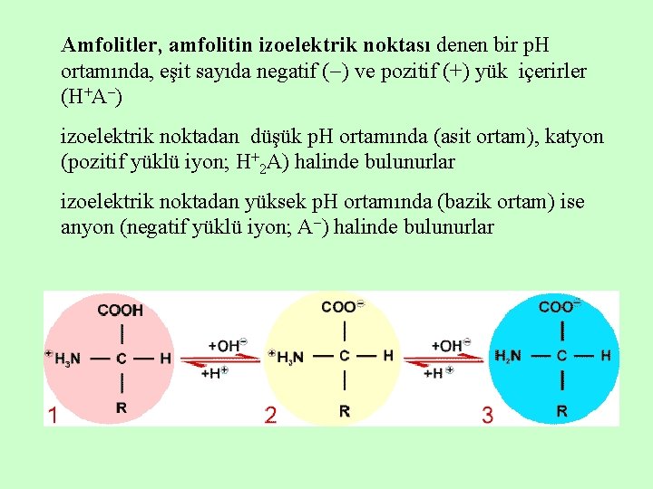 Amfolitler, amfolitin izoelektrik noktası denen bir p. H ortamında, eşit sayıda negatif ( )