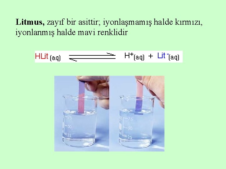 Litmus, zayıf bir asittir; iyonlaşmamış halde kırmızı, iyonlanmış halde mavi renklidir 