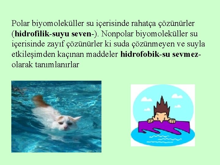 Polar biyomoleküller su içerisinde rahatça çözünürler (hidrofilik-suyu seven-). Nonpolar biyomoleküller su içerisinde zayıf çözünürler