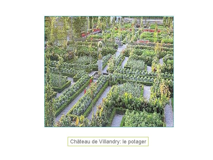 Château de Villandry: le potager 