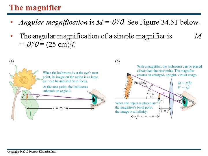 The magnifier • Angular magnification is M = /. See Figure 34. 51 below.