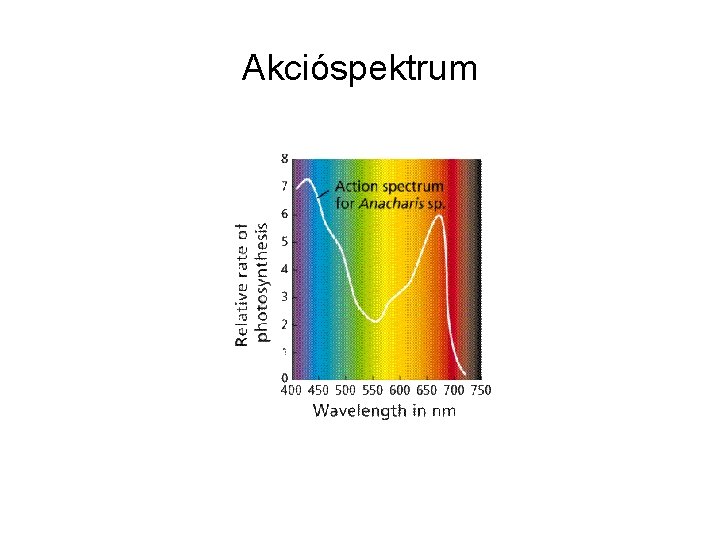 Akcióspektrum 