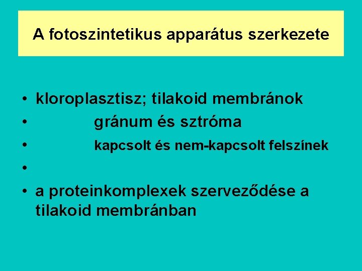 A fotoszintetikus apparátus szerkezete • kloroplasztisz; tilakoid membránok • gránum és sztróma • kapcsolt