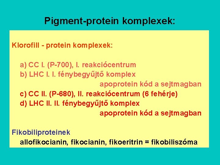 Pigment-protein komplexek: Klorofill - protein komplexek: a) CC I. (P-700), I. reakciócentrum b) LHC